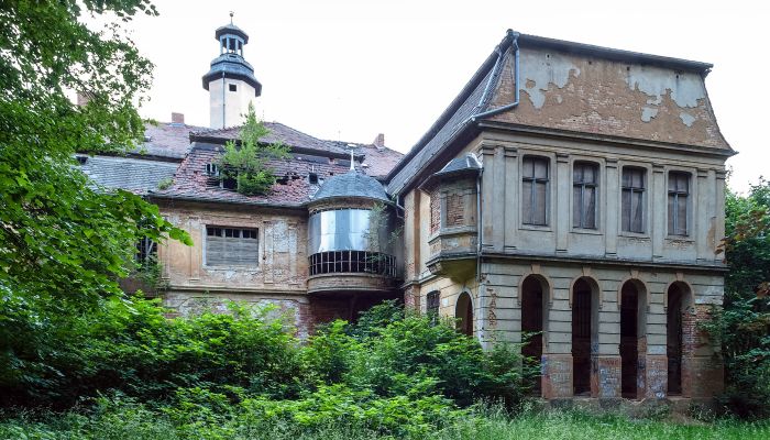 Ist Schloss Friedrichstanneck noch zu retten?