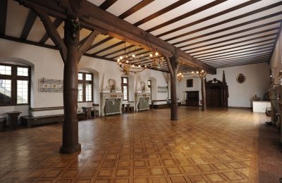 Slot til salg 97453 Schonungen, Ernst Sachs Straße 6, Bayern, Rittersaal