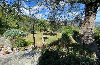 Landhaus kaufen Oliveto, Ligurien, Foto 10/21