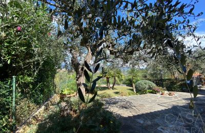 Landhaus kaufen Oliveto, Ligurien, Foto 11/21