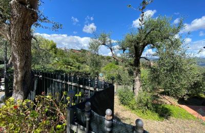 Landhaus kaufen Oliveto, Ligurien, Foto 12/21