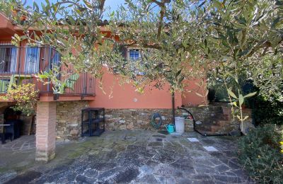 Landhaus kaufen Oliveto, Ligurien, Foto 4/21