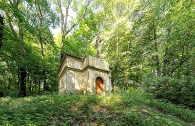 Herregård til salg Poręba Żegoty, Ruiny Dworu Szembeków, województwo małopolskie, Billede 16/20