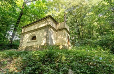 Herregård til salg Poręba Żegoty, Ruiny Dworu Szembeków, województwo małopolskie, Billede 17/20