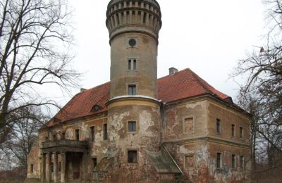 Slot til salg Osetno, Pałac w Osetnie, województwo dolnośląskie, Billede 7/8