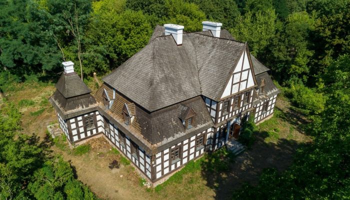  Rogoźno 5