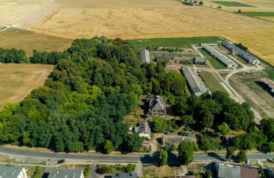 Herregård til salg Rogoźno, Dwór w Studzieńcu 28, województwo wielkopolskie, Ejendommens omgivelser