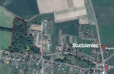 Herregård til salg Rogoźno, Dwór w Studzieńcu 28, województwo wielkopolskie, Ejendom