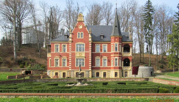 Slot til salg Ziębice, województwo dolnośląskie,  Polen