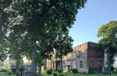 Herregård til salg Orłów-Parcel, województwo łódzkie, Ejendom