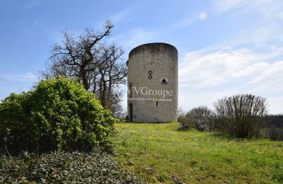 Schloss kaufen Monflanquin, Neu-Aquitanien, Gebäude mit Turm