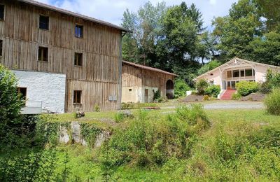 Mølle til salg Pissos, Nouvelle-Aquitaine, Billede 2/14