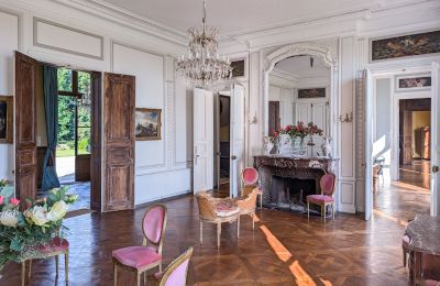 Slot til salg Gisors, Normandie, Salon