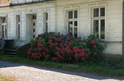 Herregård til salg 18556 Zürkvitz,  Zürkwitzer Str. 15, Mecklenburg-Vorpommern, Billede 20/23