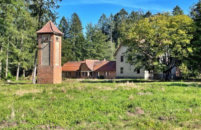 Landhus til salg Zegrze Pomorskie, województwo zachodniopomorskie, Billede 6/7