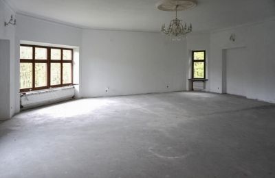 Burg til salg Zagórzany, Kleinpolen, Innenansicht 1