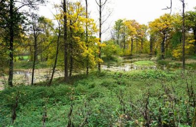 Burg til salg Zagórzany, Kleinpolen, Teich/See