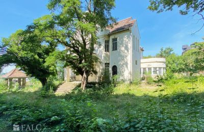 Historisk villa til salg 99510 Apolda, Lessingstraße 62, Thüringen, Ejendom