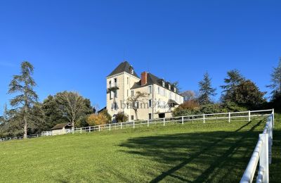Herregård til salg Pau, Nouvelle-Aquitaine, Billede 2/23