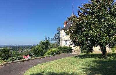 Herregård til salg Pau, Nouvelle-Aquitaine, Billede 18/23