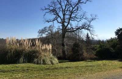 Slot til salg Pau, Nouvelle-Aquitaine, Park