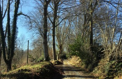 Slot til salg Pau, Nouvelle-Aquitaine, Indkørsel