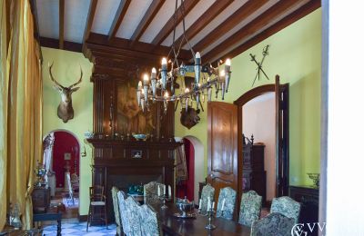 Herregård til salg Villeneuve-sur-Lot, Nouvelle-Aquitaine, Salon