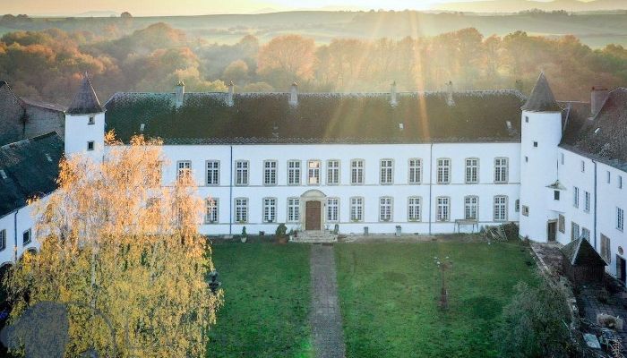 Slot til salg Roussy-le-Bourg, Grand-Est,  Frankrig