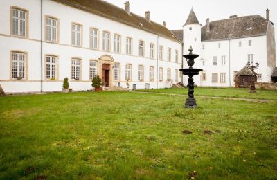 Slot til salg Roussy-le-Bourg, Grand-Est, Indre gårdhave