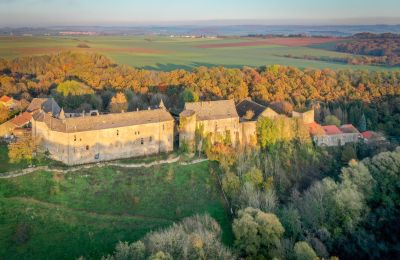 Slot til salg Roussy-le-Bourg, Grand-Est, Ejendommens omgivelser
