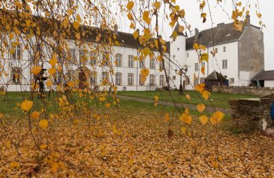 Slot til salg Roussy-le-Bourg, Grand-Est, Udvendig visning