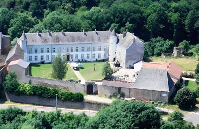 Slot til salg Roussy-le-Bourg, Grand-Est, Château de Roussy-Comté