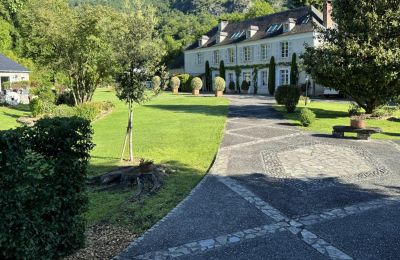 Herregård til salg Lourdes, Occitanie, Indkørsel