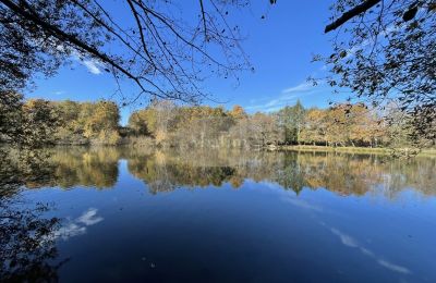 Herregård til salg Eauze, Occitanie, Dam/sø