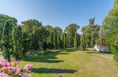 Slott til salgs Mgowo, Pałac w Mgowie, województwo kujawsko-pomorskie, Park