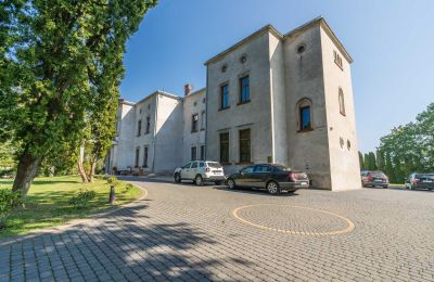 Slott til salgs Mgowo, Pałac w Mgowie, województwo kujawsko-pomorskie, Bilde 13/17