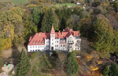 Slot til salg Grabiszyce Średnie, województwo dolnośląskie, Pałac Grabiszyce Średnie