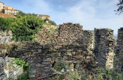 Landhaus kaufen Pontedassio, Ligurien, Foto 5/25