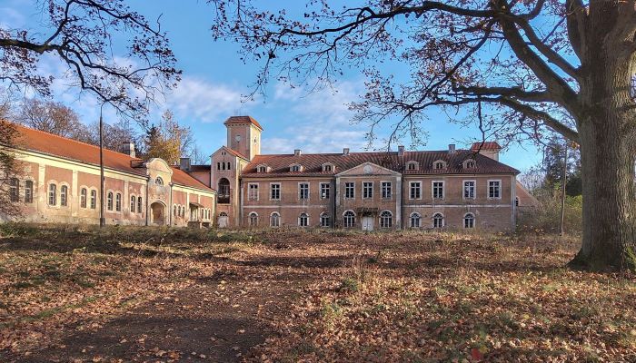 Slot til salg Dobrocin, województwo warmińsko-mazurskie,  Polen