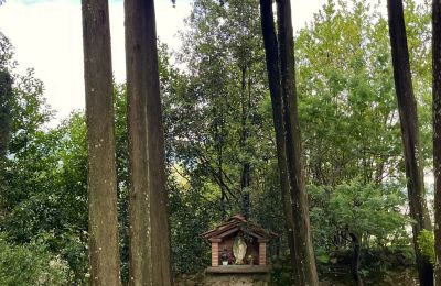 Kloster til salg Pescia, Toscana, Billede 30/47