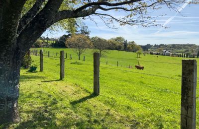 Landhus til salg Melide, Cabazás, Galicien, Campo de la propiedad
