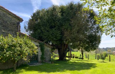 Landhus til salg Melide, Cabazás, Galicien, Terraza y jardín