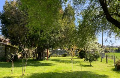 Landhus til salg Melide, Cabazás, Galicien, Have