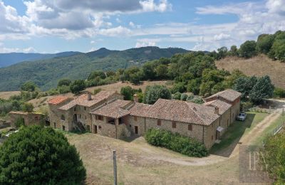 Landsted til salgs Città di Castello, Umbria, Bilde 14/48