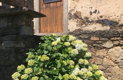 Lantgård till salu Moeche, Sta Cruz de Moeche, Galicien, Detalle