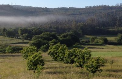 Lantgård till salu Moeche, Sta Cruz de Moeche, Galicien, Fastighetens omgivning