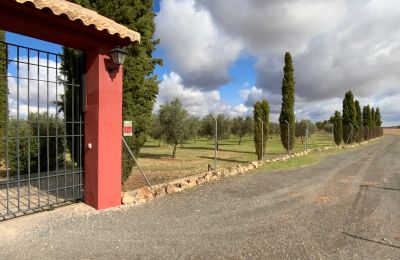 Landhus til salg Almagro, Almagro, Castilla-La Mancha, Indkørsel