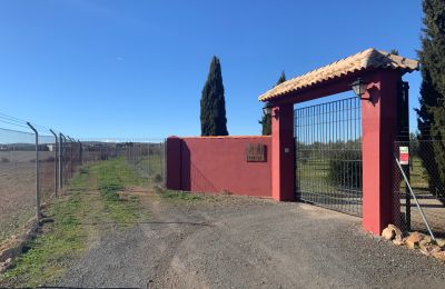 Landhus til salg Almagro, Almagro, Castilla-La Mancha, Entrada