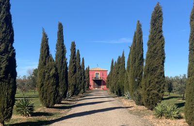 Landhus til salg Almagro, Almagro, Castilla-La Mancha, Entrada arbolada con cipreses