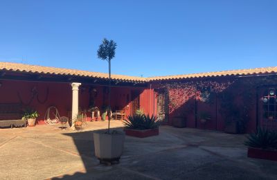 Landhus til salg Almagro, Almagro, Castilla-La Mancha, Indre gårdhave